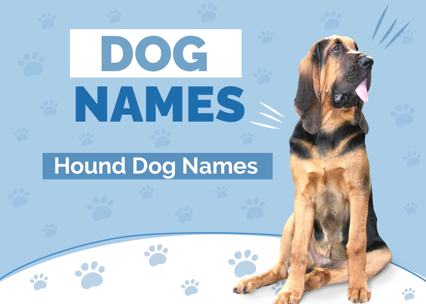 Hound Dog Names