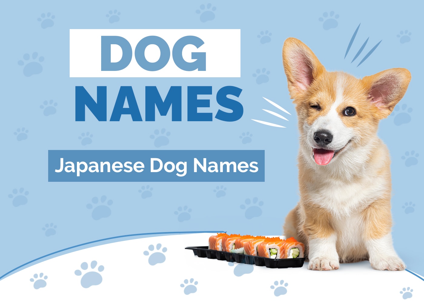 Japanese Dog Names