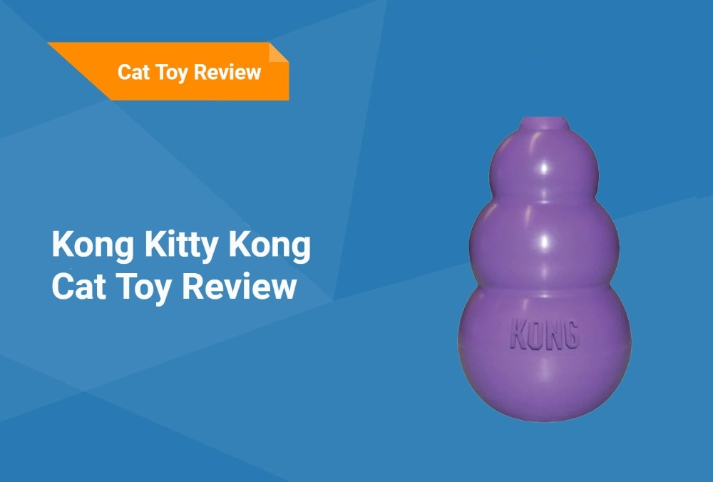 kong kitty kong cat toy Review(3)