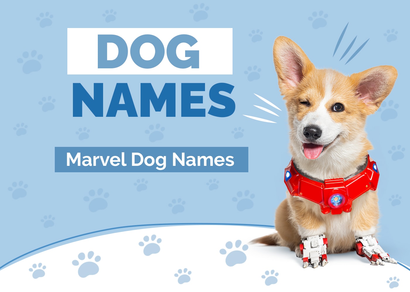 Marvel sales dog names