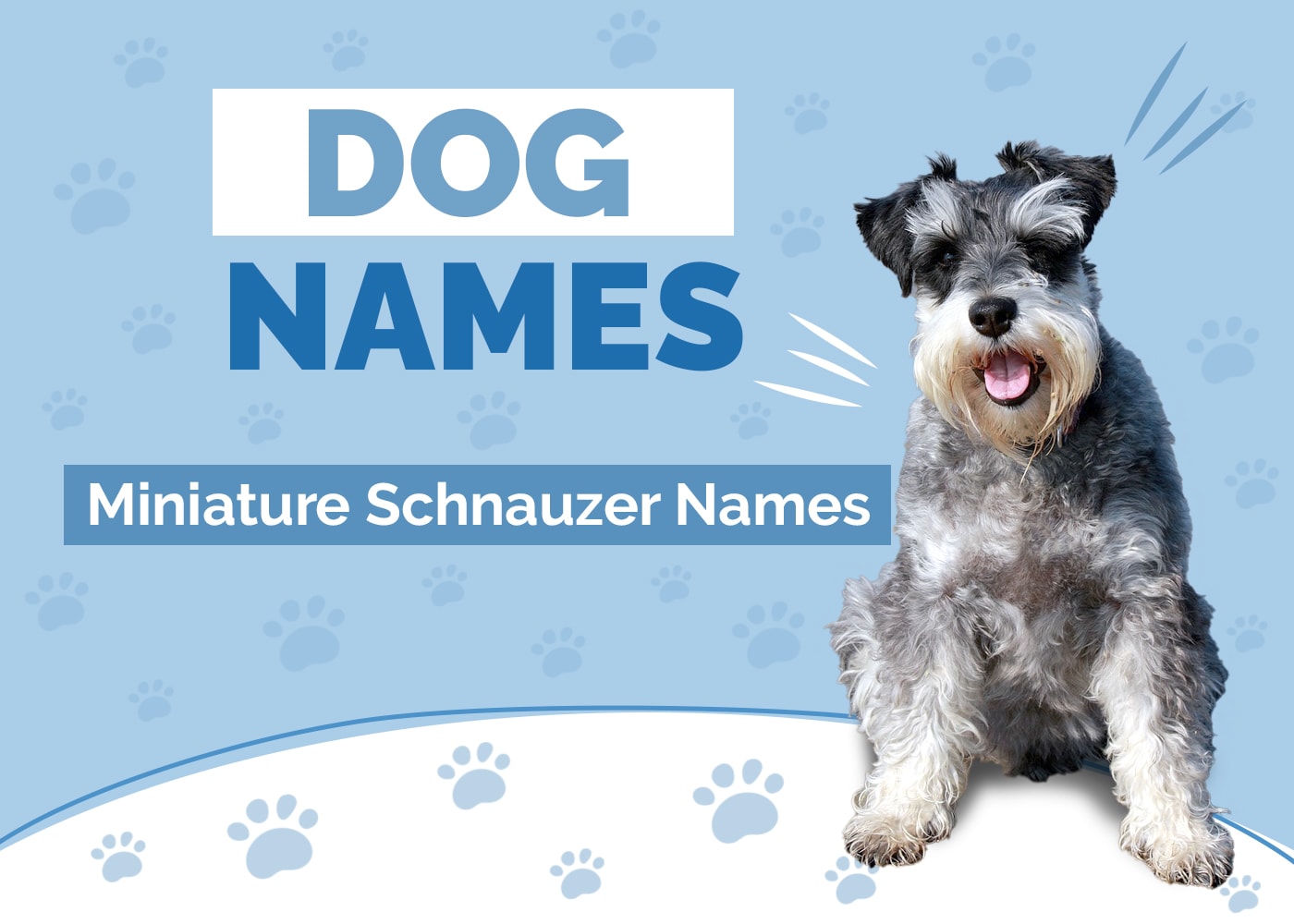 Names for Miniature Schnauzers