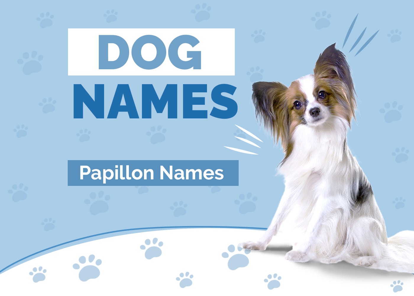 Amazing Names for Papillons