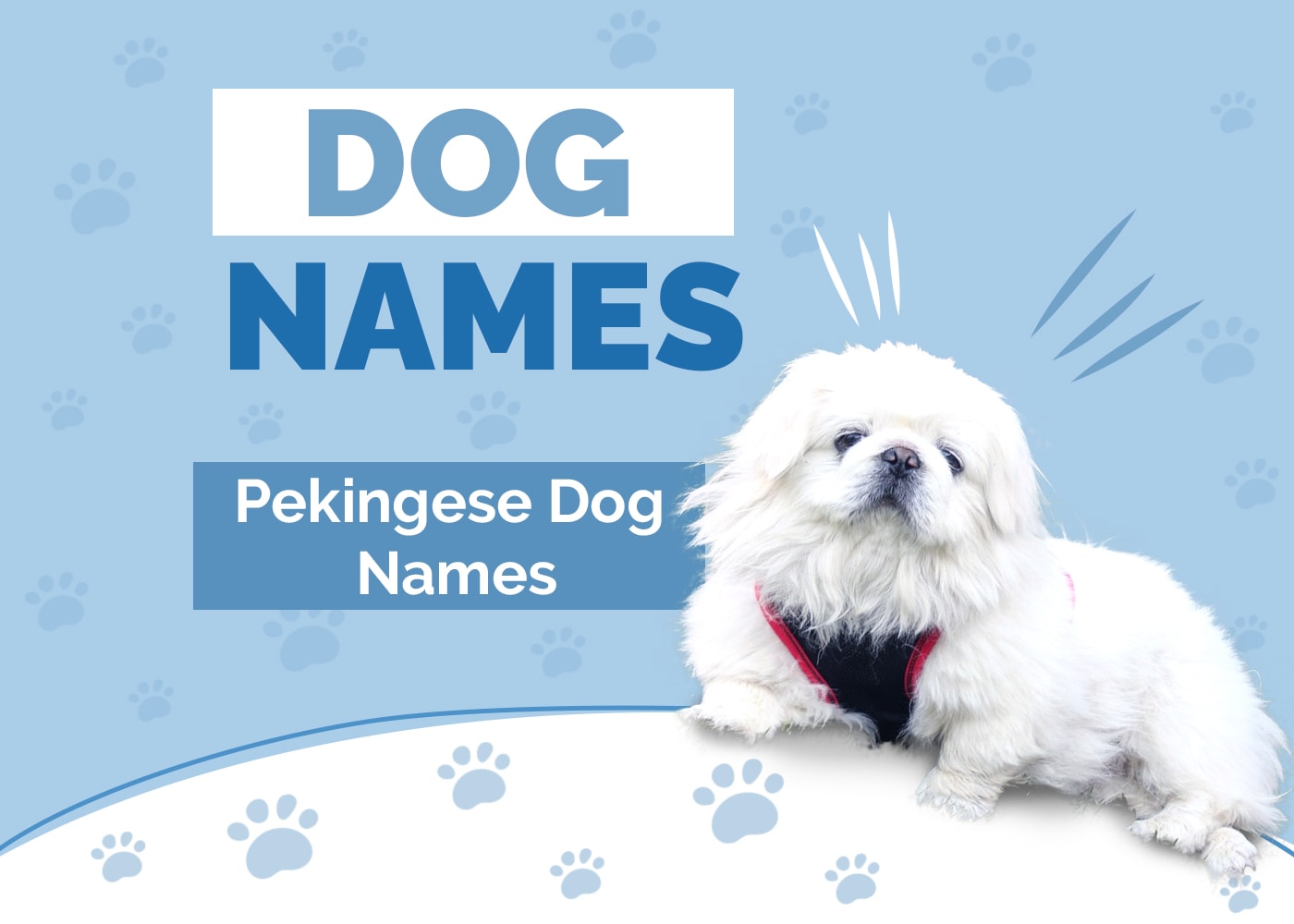 Pekingese Dog Names