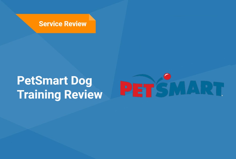 petsmart Dog training Review(2)