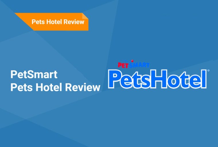 PetSmart Pets Hotel Review 2024 FAQ, Pros & Cons Hepper
