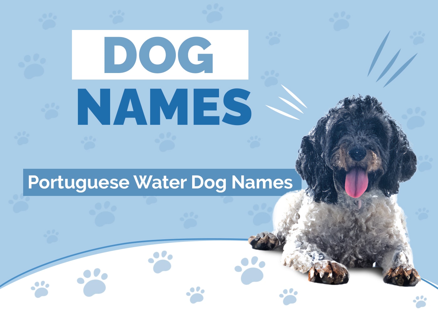 Names for Portuguese Water Dogs