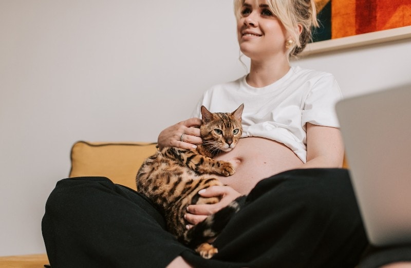 pregnant woman on sofa holding a cat