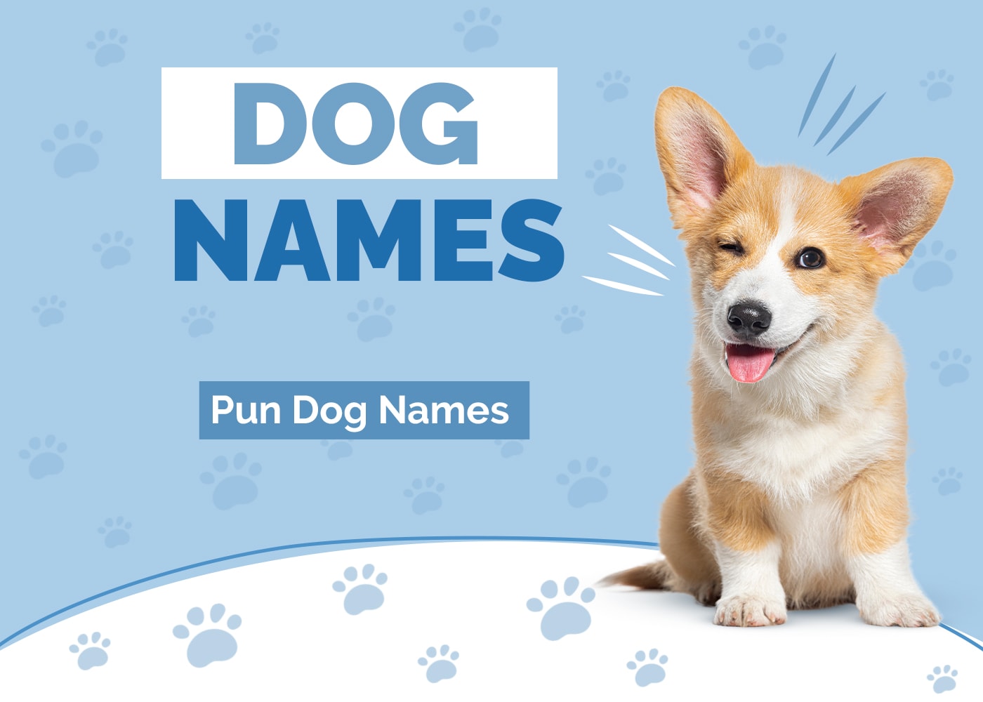 Pun Dog Names
