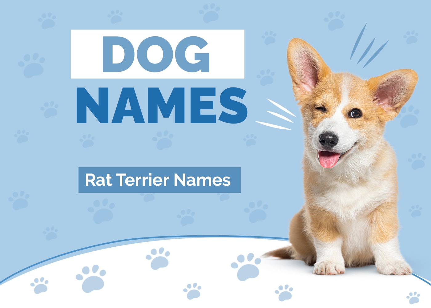 Names for Rat Terriers