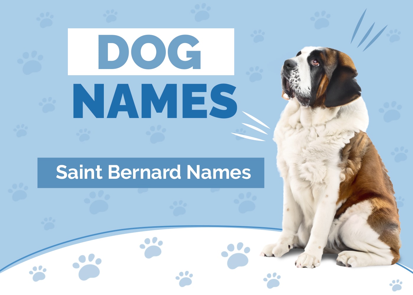 Saint Bernard Names
