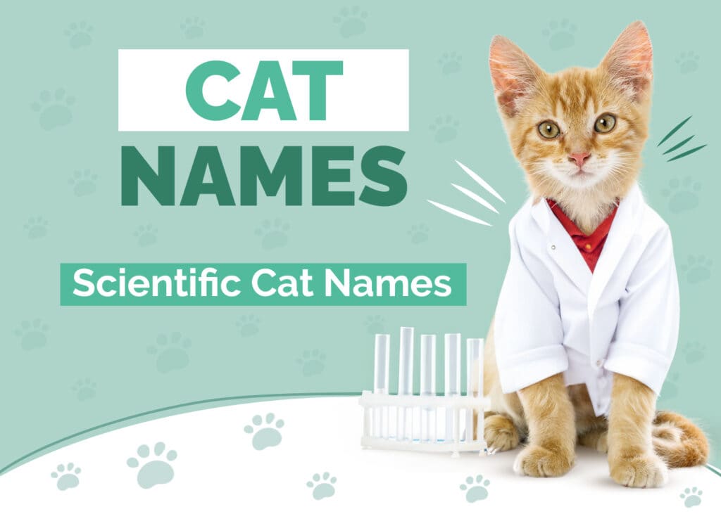 Scientific Cat Names