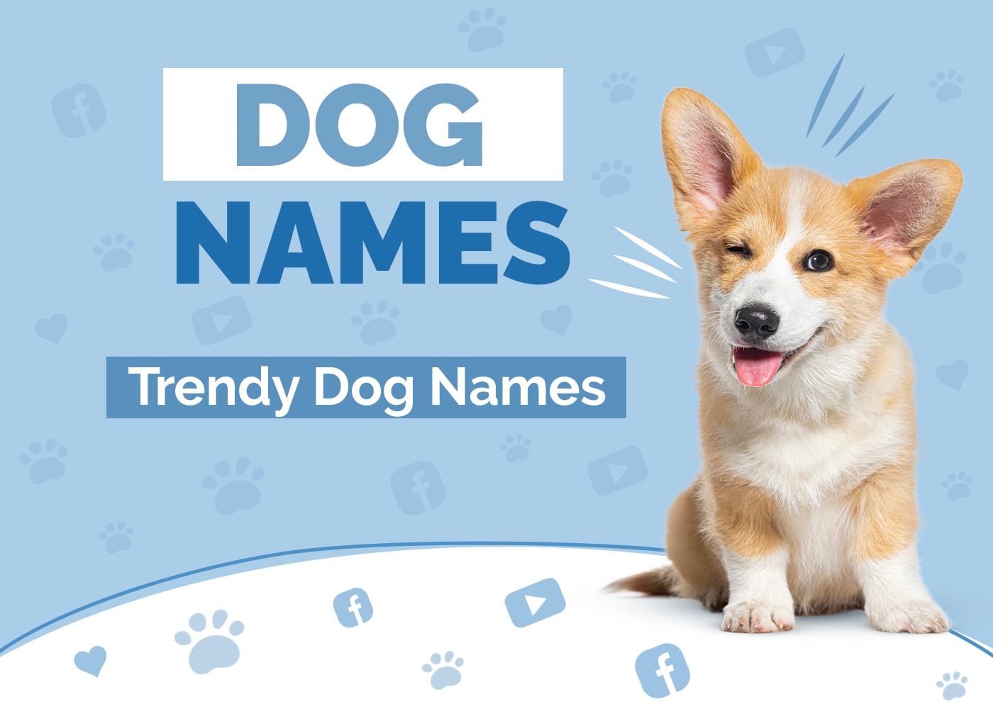 100 Trendy Dog Names Popular Stylish In Vogue Ideas Hepper