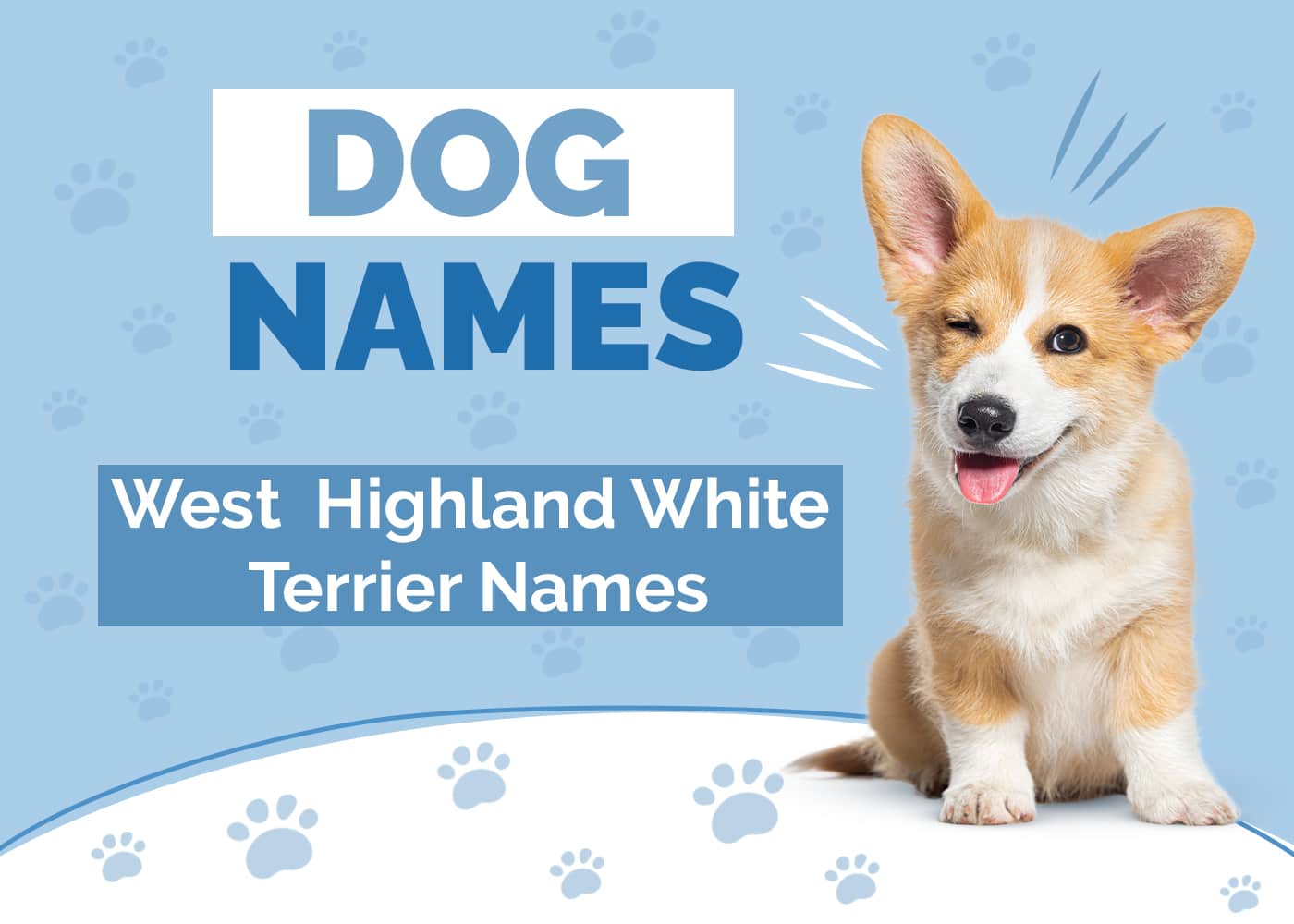 Names for West Highland White Terriers