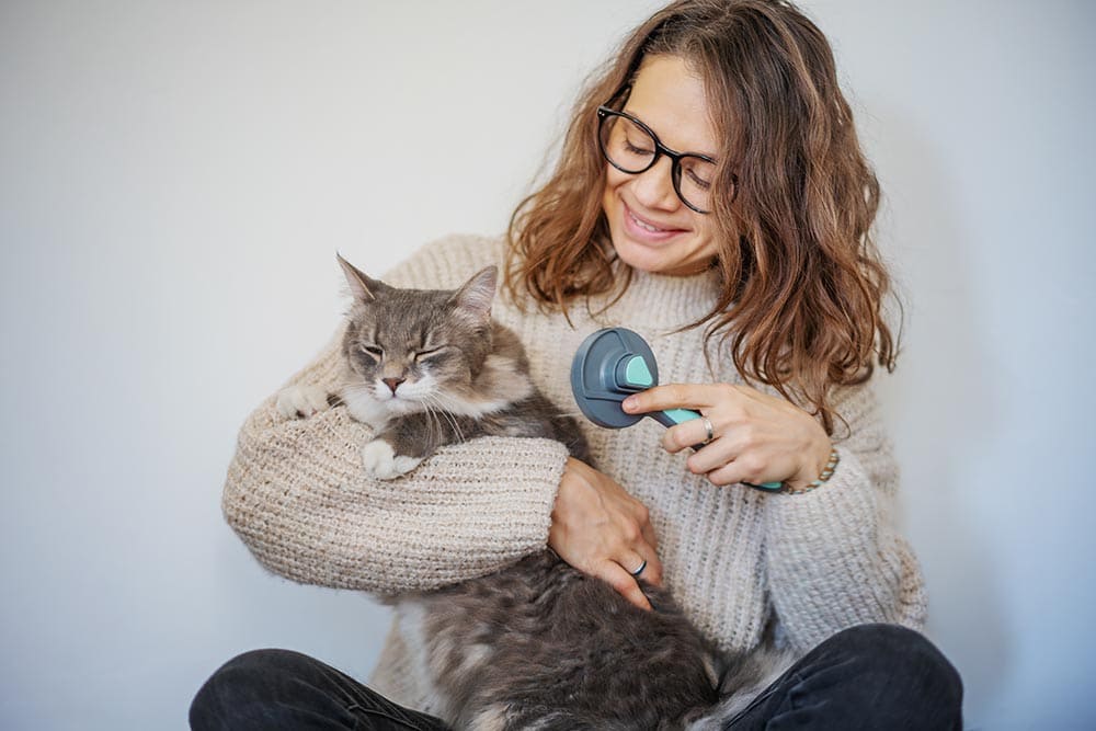 woman introducing brush to cat