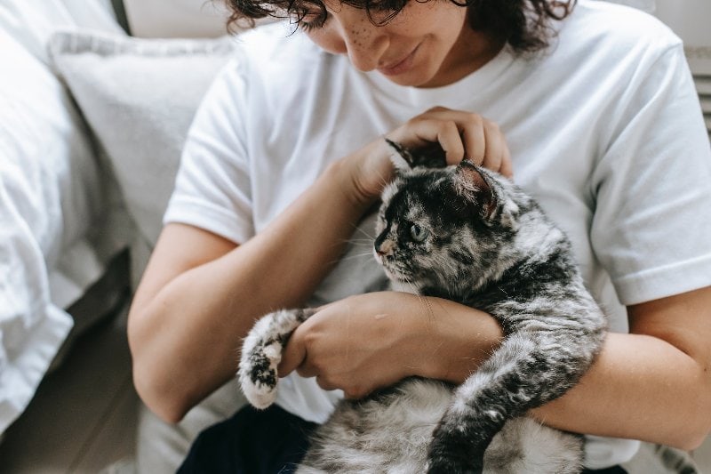woman stroking black and white cat