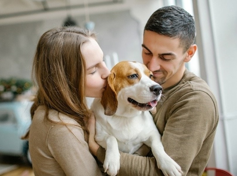 young couple with their pet beagle