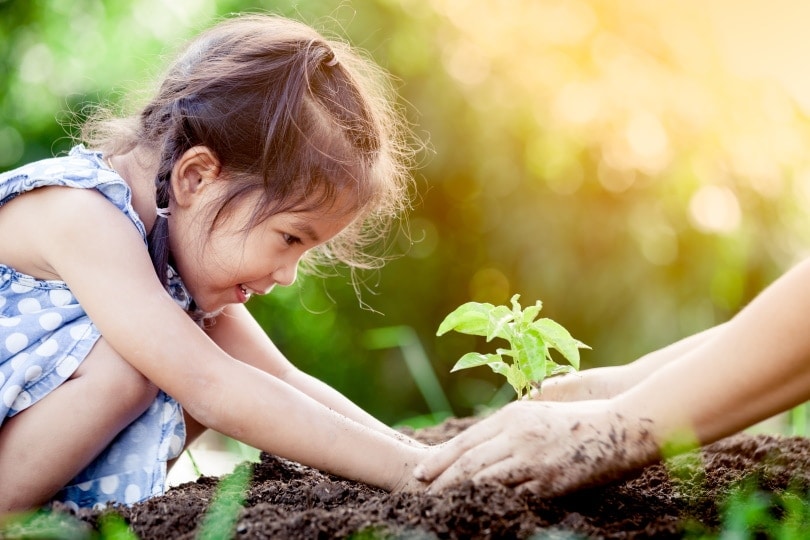 young girl planting in the garden