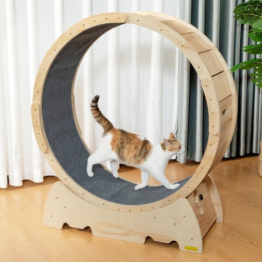 COZIWOW Cat Wheel