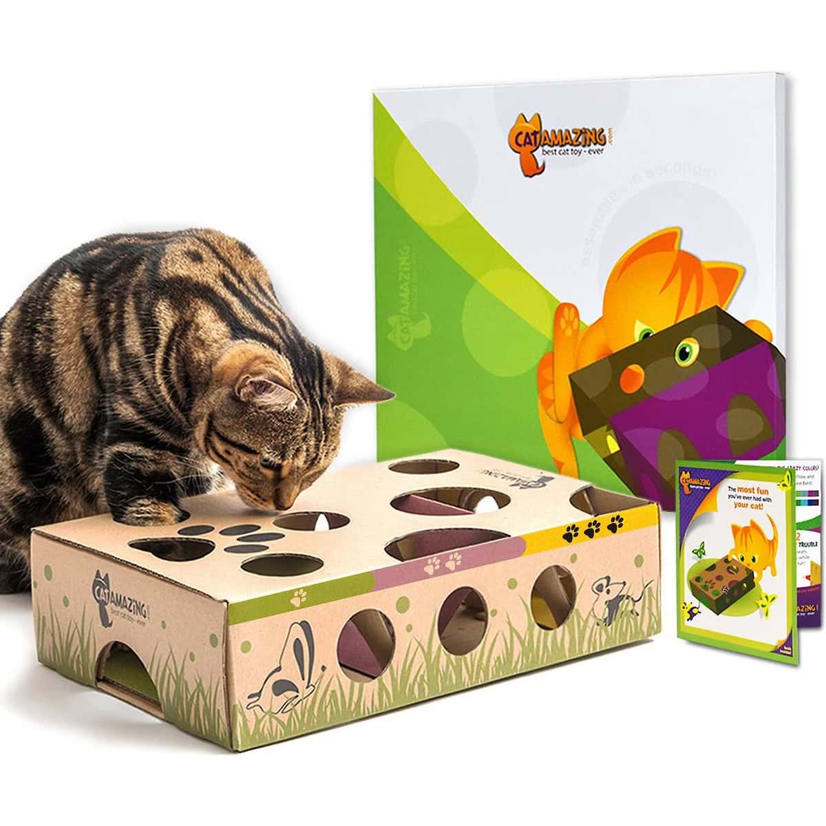 Cat Amazing Interactive Treat Maze and Puzzle Toy