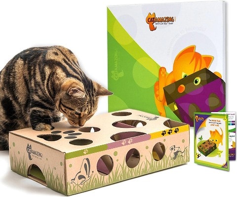 Cat Amazing Interactive Treatment Mê cung và đồ chơi xếp hình