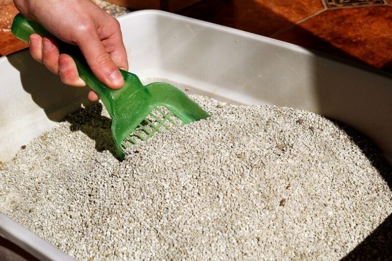 cleaning cat litter box