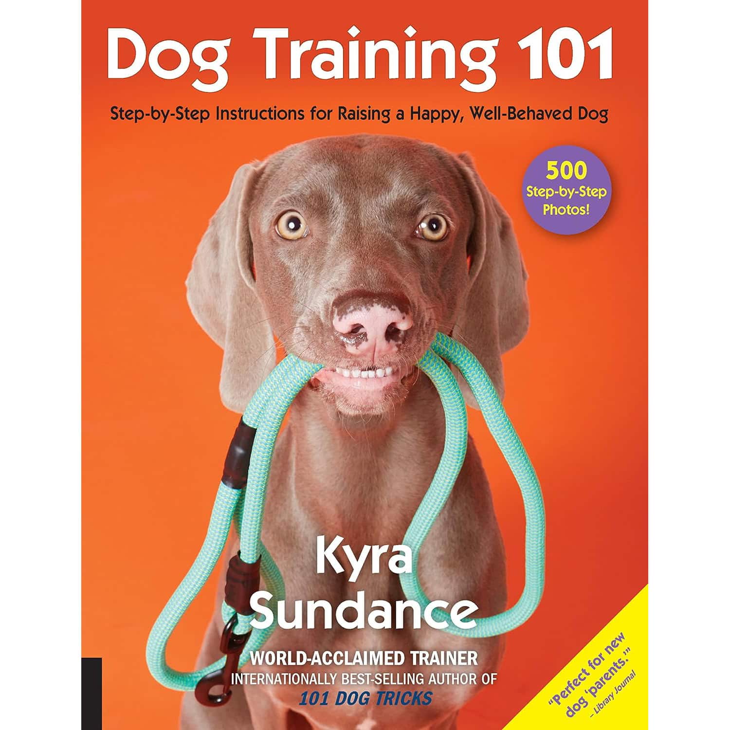 Dog Training 101- Step-by-Step Instructions for raising a happy well-behaved dog 