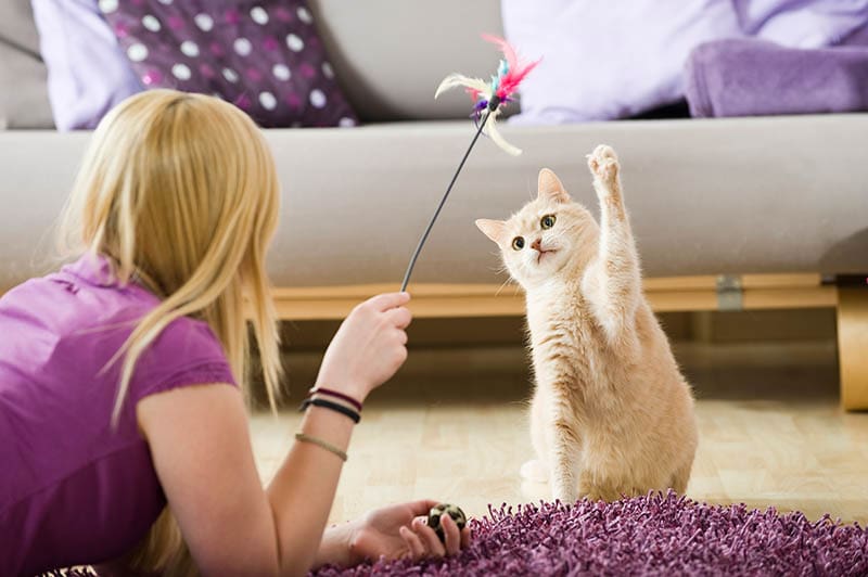 Cô gái chơi với con mèo của mình