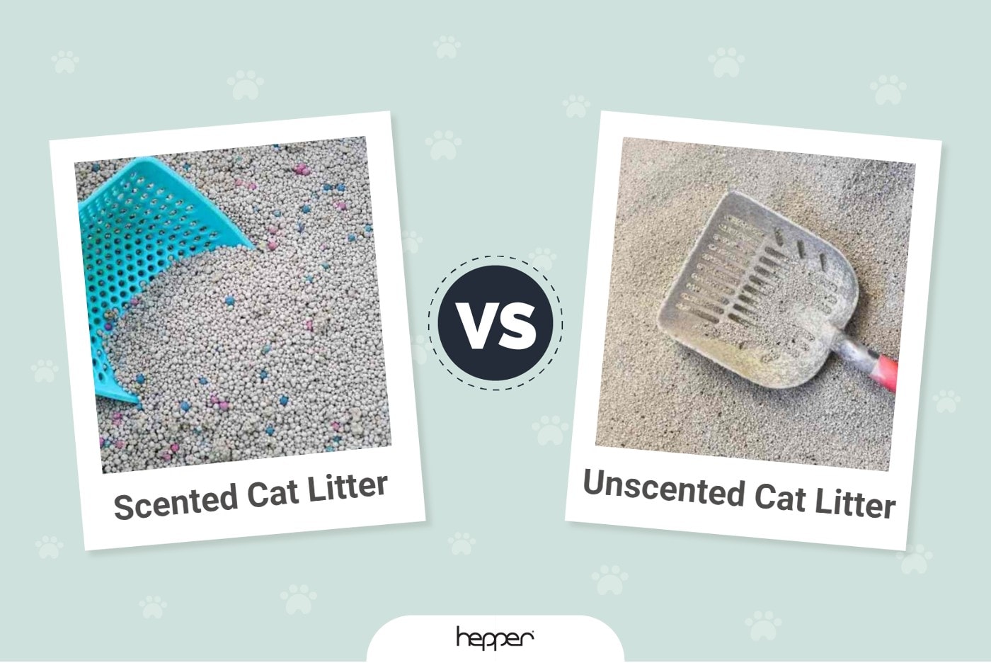 Scented Vs. Unscented Cat Litter_Featured Image