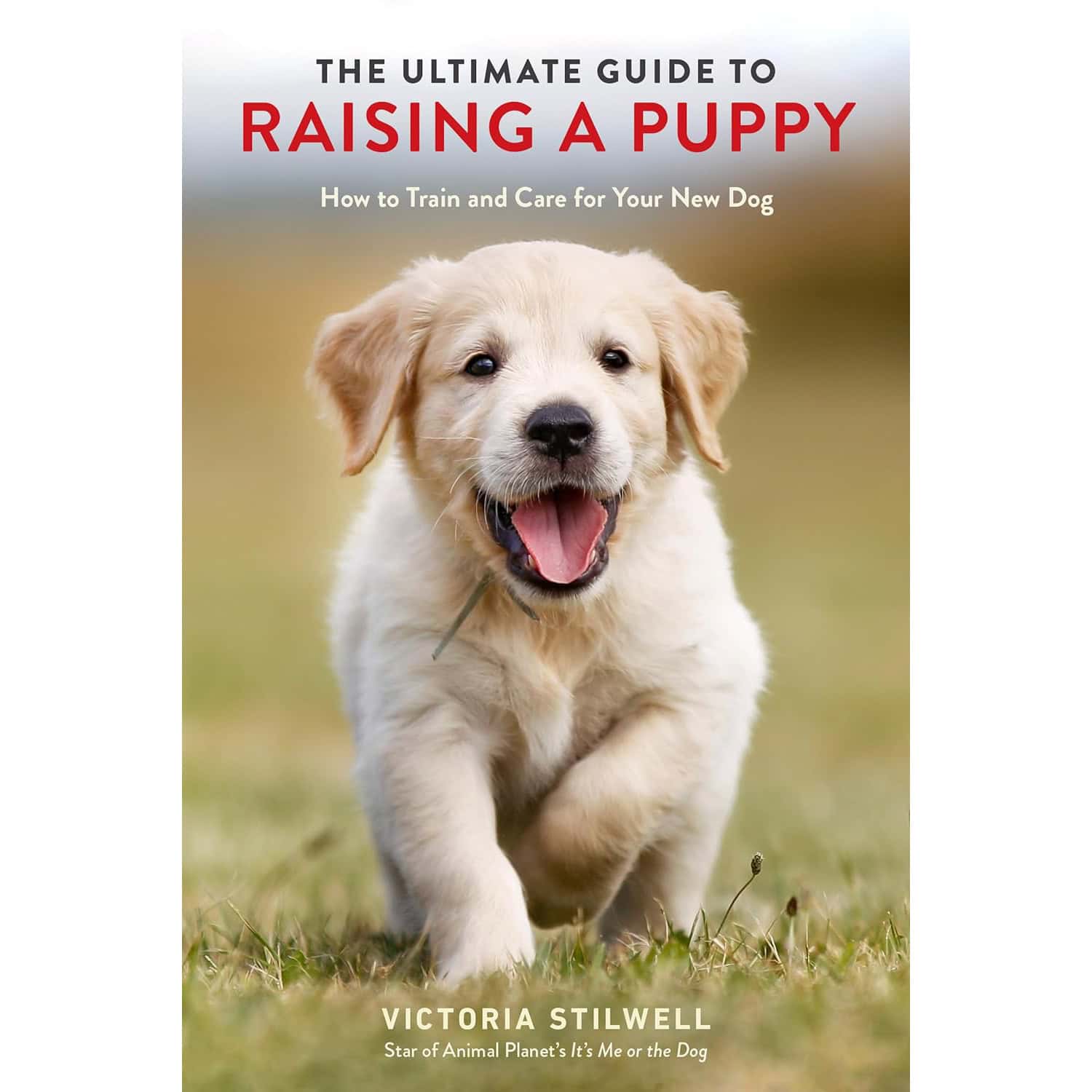 The Ultimate Guide to Raising a Puppy- How to Train and Care for Your New Dog 