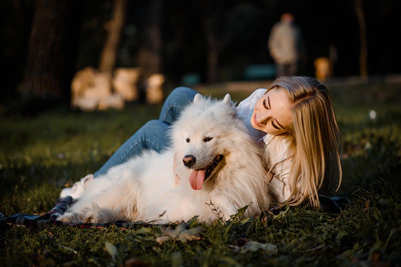 Young beautiful woman in white shirt is hugging her white dog samoyed outdoors