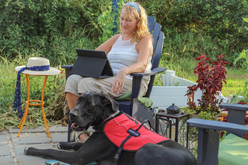 a great dane service dog helping a woman with mobility issues