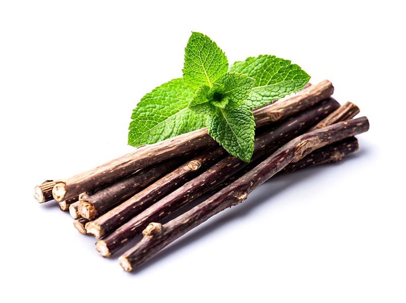 que catnip trên nền trắng
