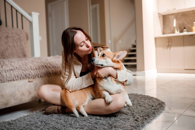 girl playing with corgi dog at home