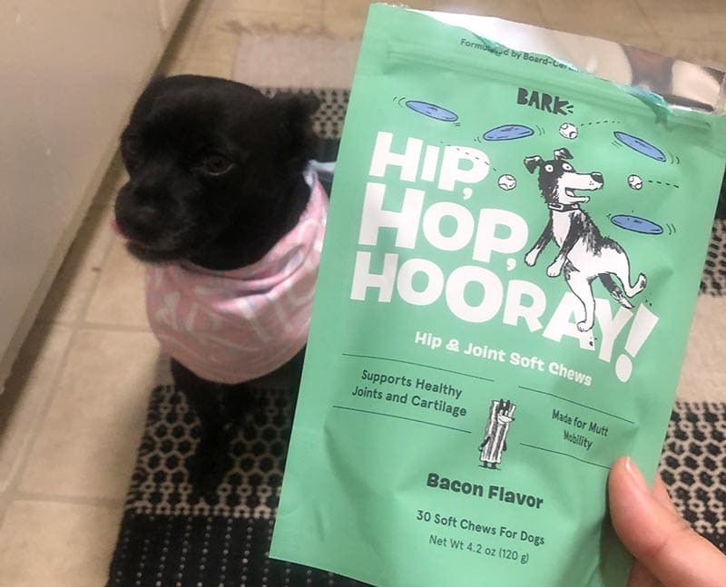 hand holding out bark hip hop hooray soft chews to a black dog