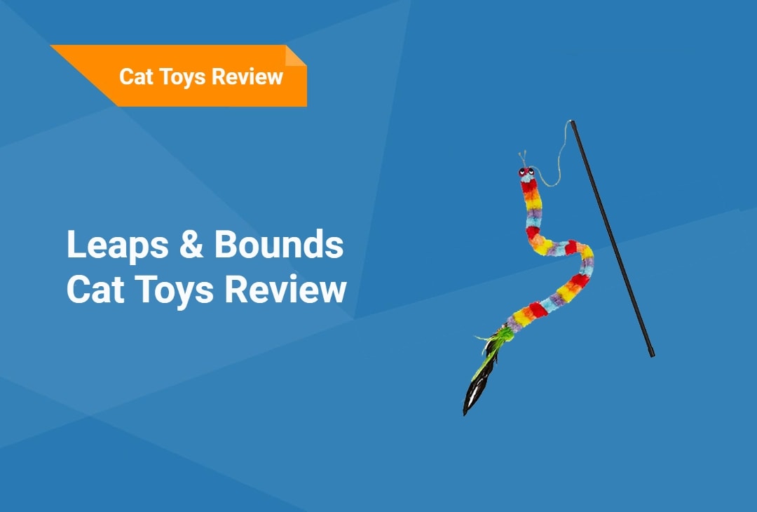 leaps and bounds cat toys review