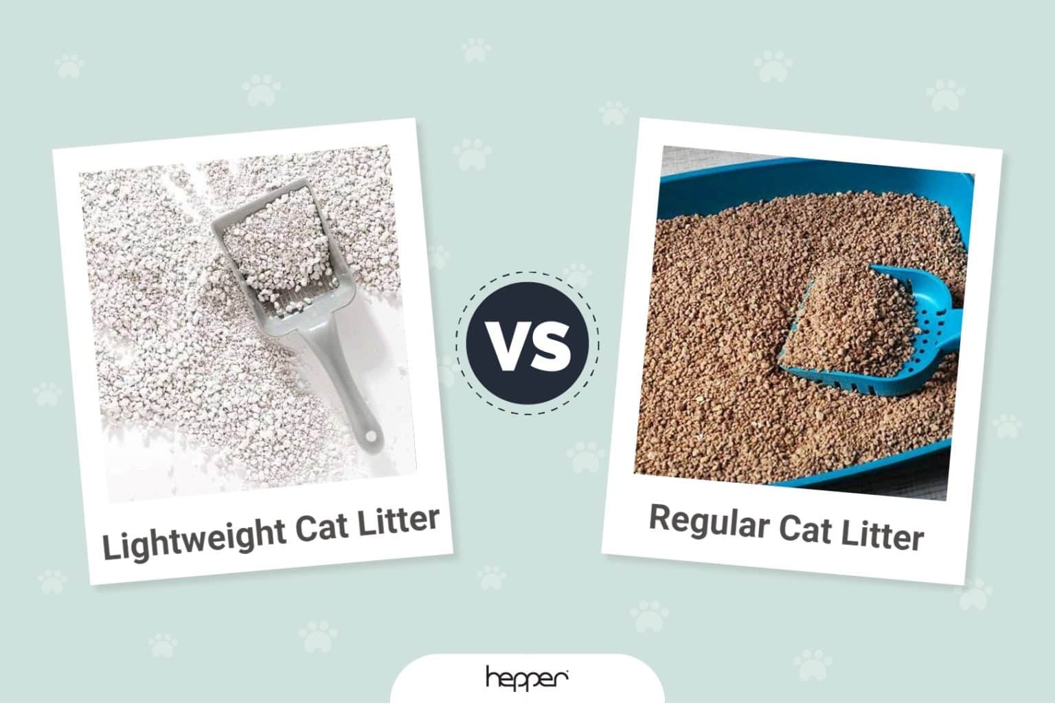 Lightweight vs. Regular Cat Litter (2024 Comparison) Which One Is
