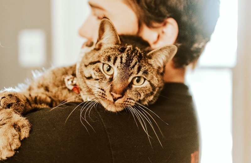 man hugging a tabby cat