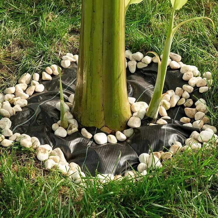 black plastic weed barrier