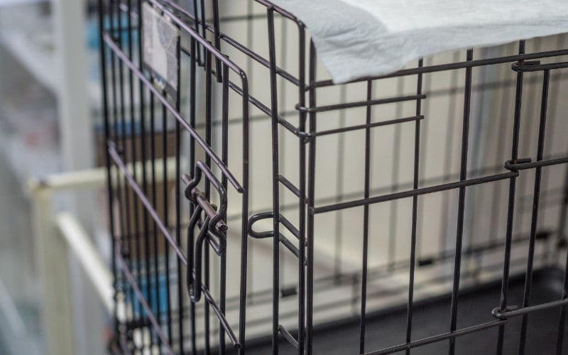 wire crate or cage for pets