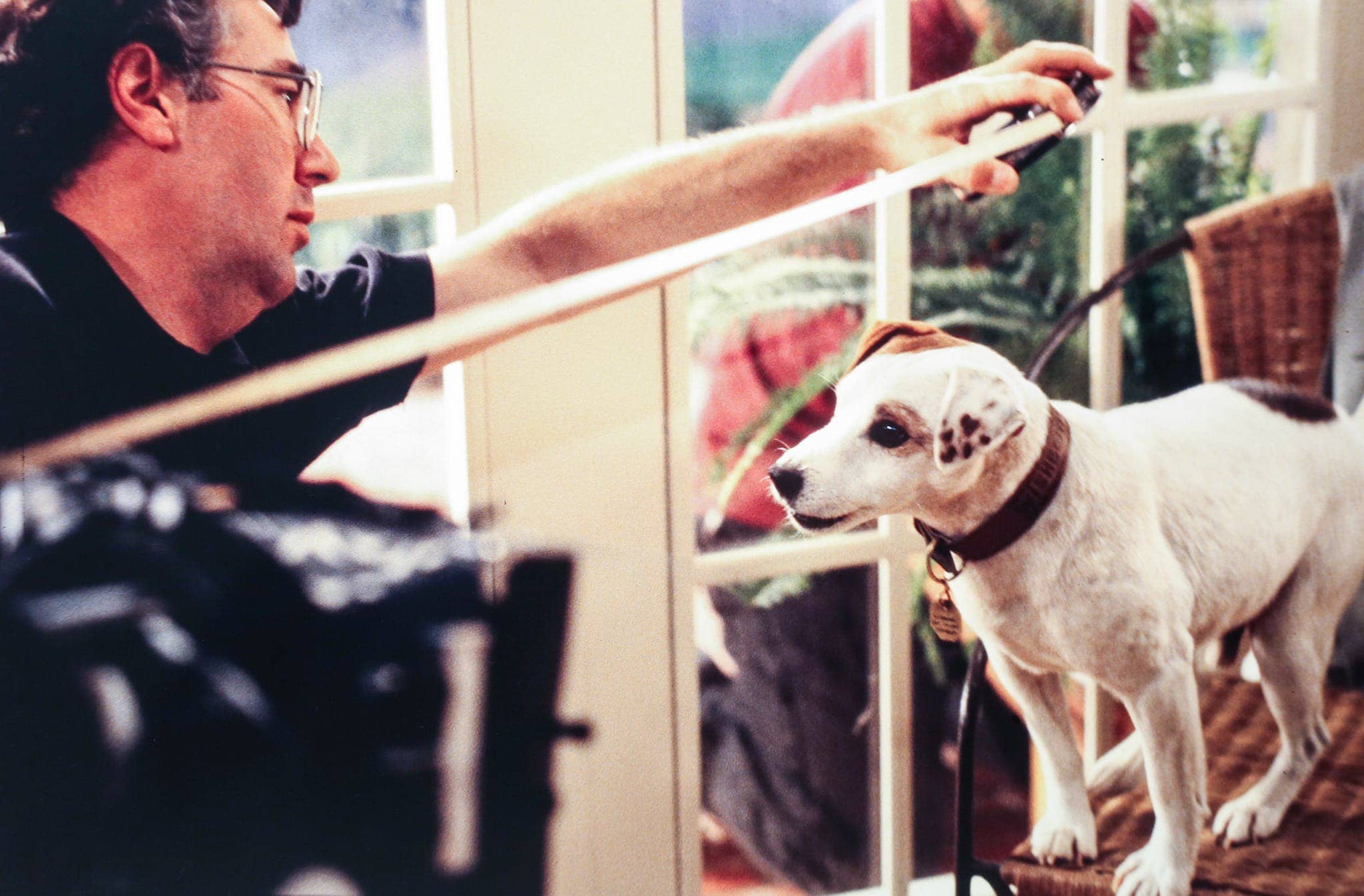 wishbone-soccer-dog-acting-hitting-marks