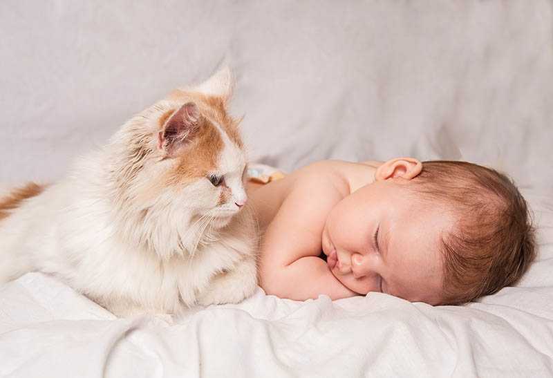 Baby and cat sleeping together