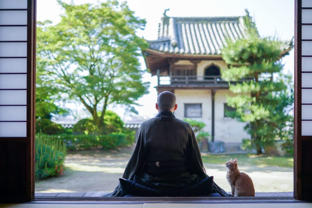 Mèo ở Nhật Bản với Phật giáo