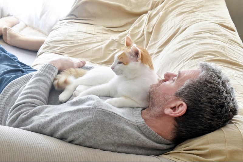 Cat laying on owner's chest