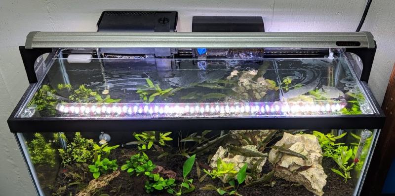 DIY Glass Aquarium Lids