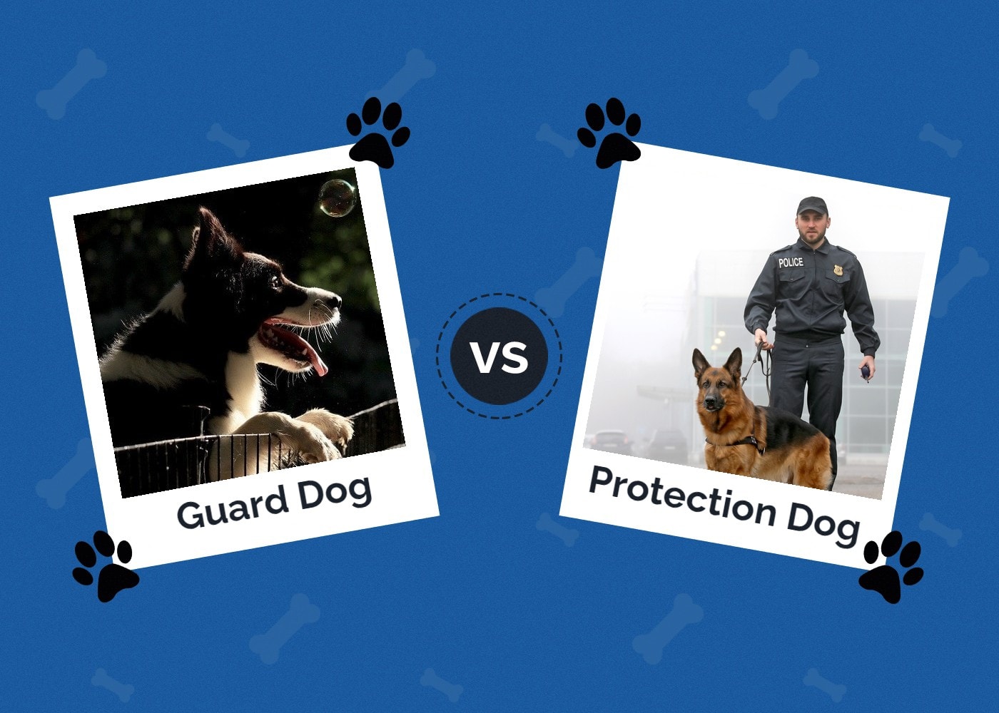 Guard vs protection dog 