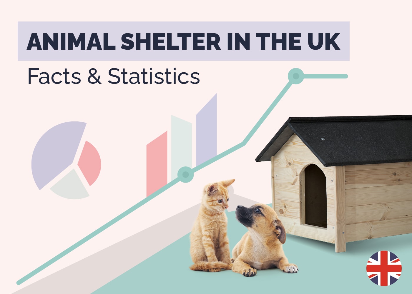 Animal Shelter in the UK Statistics