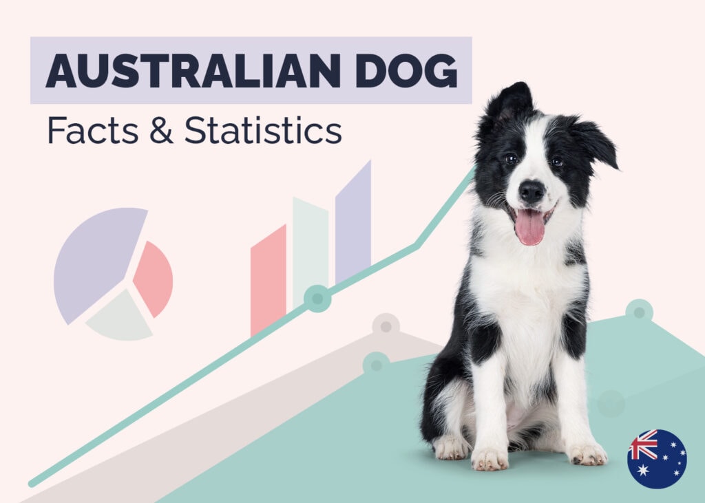 Australian Dog Statistics