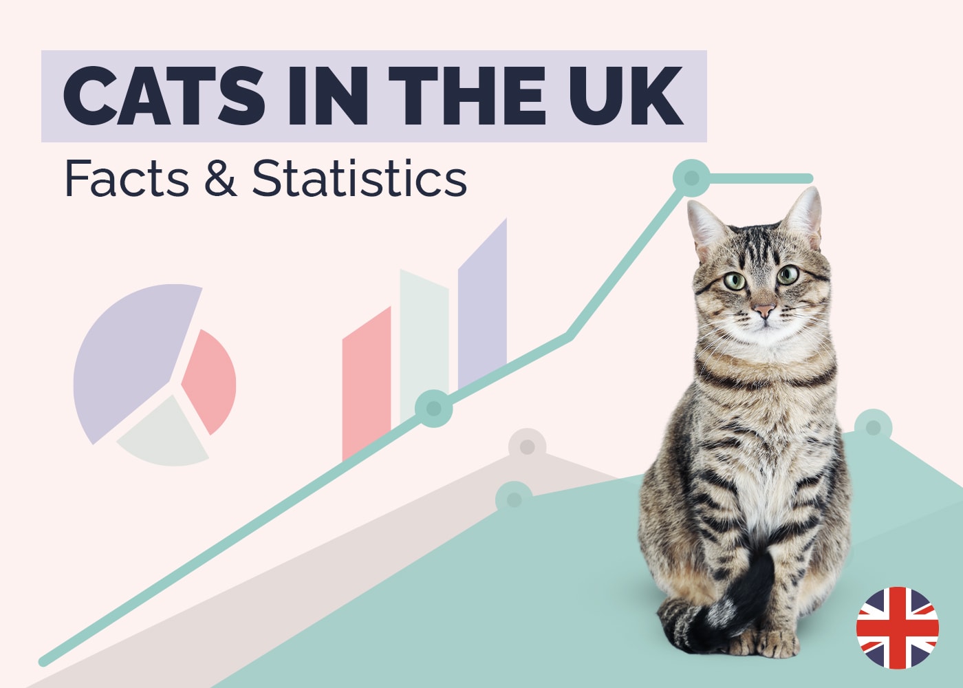 Cats in the UK Statistics
