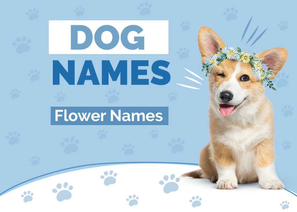 Adorable Flower Names for Dogs