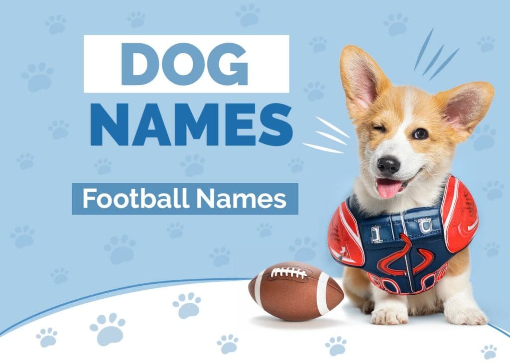 Football Inspired Dog Names